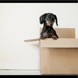 🏡Moving Sale!!🏡